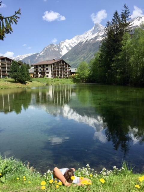 Chamois Blanc Appartement Chamonix